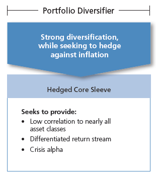Picture of the Hedged Core Sleeve