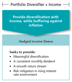 Picture of the Hedged Income Sleeve